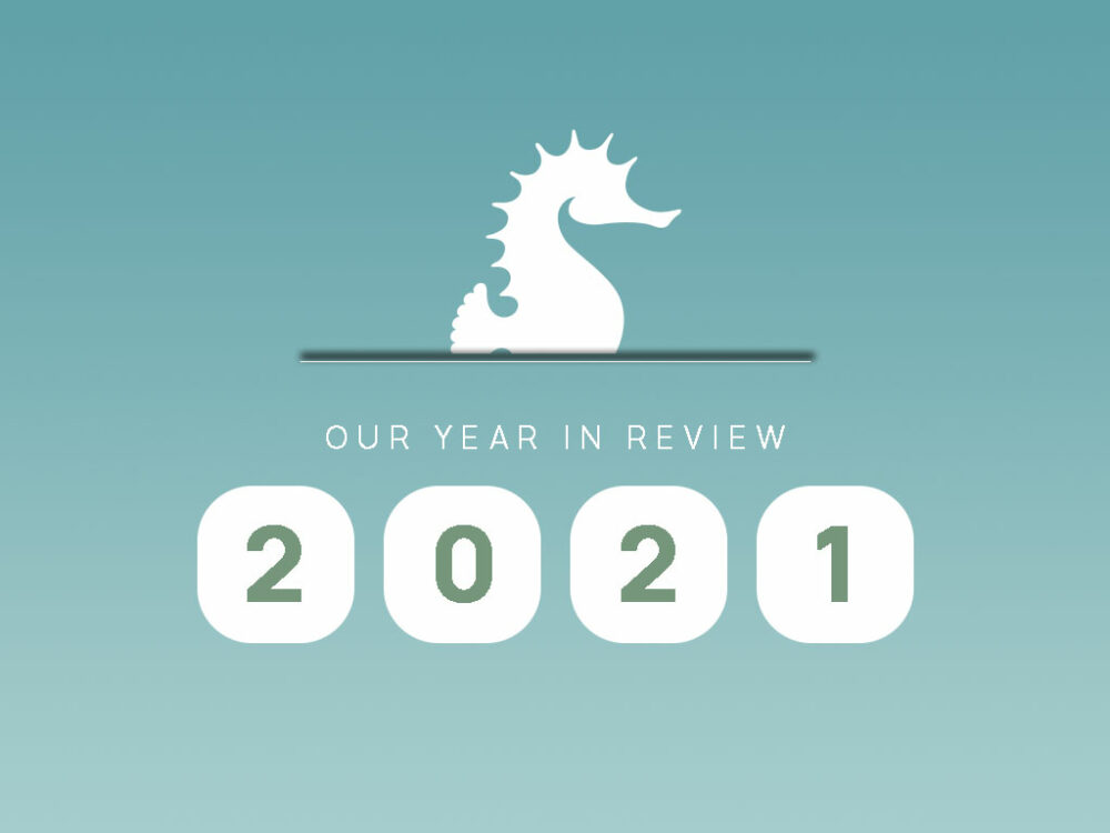 newsletter-Review-2021