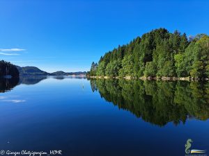 Bergen 01